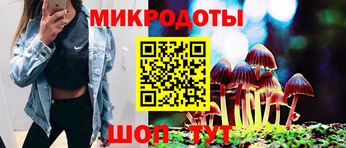 Псилоцибиновые грибы Cubensis Пугачёв